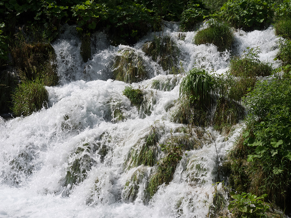 Water rushing rapidly downstream over green plant-covered rocks